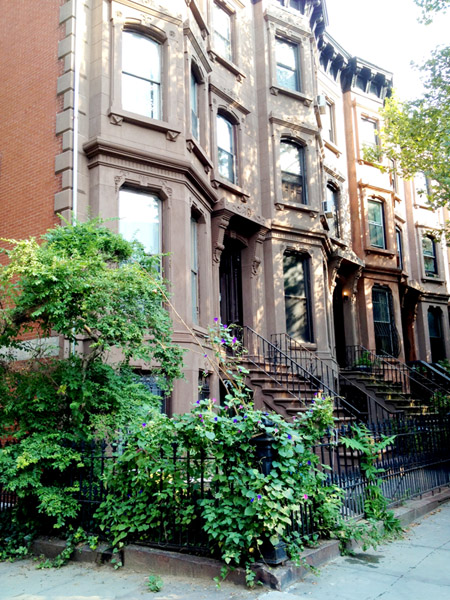 The original Roots and Wings Kids brownstone building, surrounded by greenery on 6th Avenue